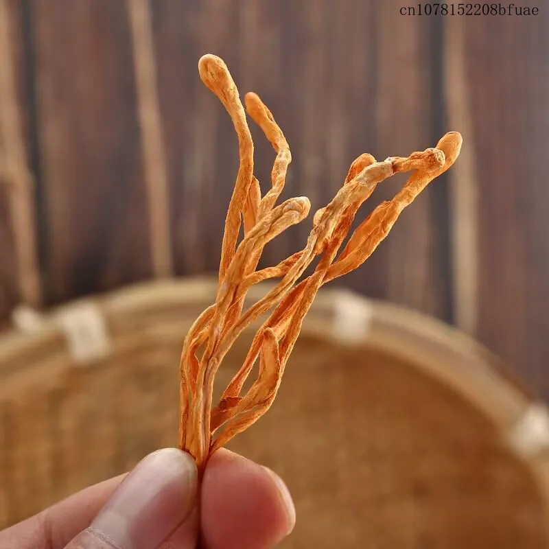250g/500g Fiori di Cordyceps E - Chamomile Tea recensione e prezzo