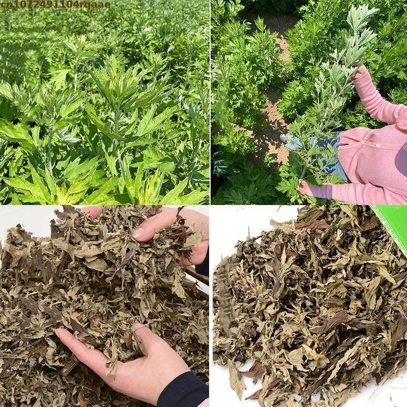 100% naturale essiccato Ay Tsa - Chamomile Tea recensione e prezzo